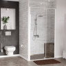 Душевая дверь 120 см WasserKRAFT Neime 19P05