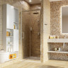 Душевая дверь 80 см WasserKRAFT Salm 27I27